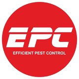 Efficient Pest Control - Deratizare, dezinsectie si dezinfectie